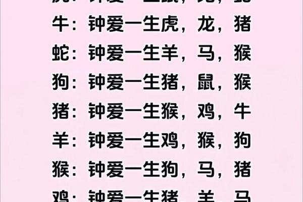 龙生肖配对大揭秘，十二生肖知识详解