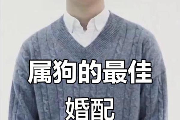 狗跟什么生肖配对最好 生肖狗最佳配对