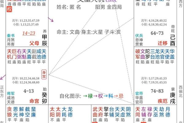 周易和紫薇斗数