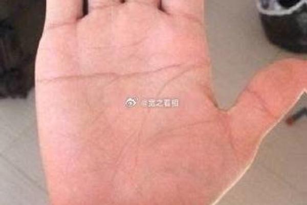 风水断掌的男人的命好不好