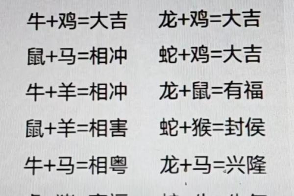 99年属什么生肖配对结婚 99年属什么和什么生肖最配