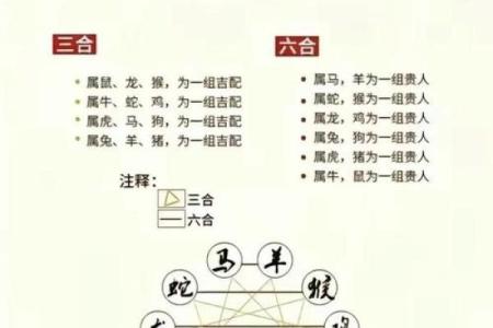 91年属什么生肖多大 婚配表 配对 什么命