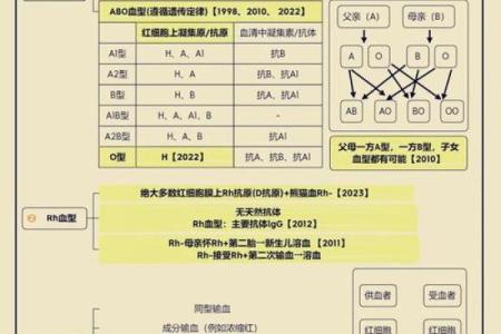 b十血型的优缺点