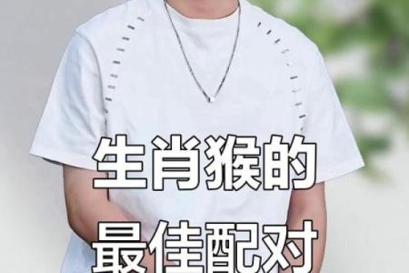 属猴男和什么属相配对