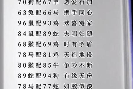 十二生肖婚配大全表 12生肖婚姻最佳配对表图片