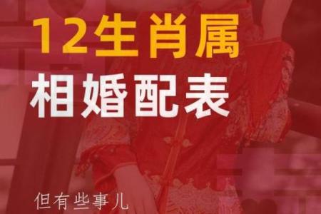 什么生肖最相配？十二生肖婚姻配对大全