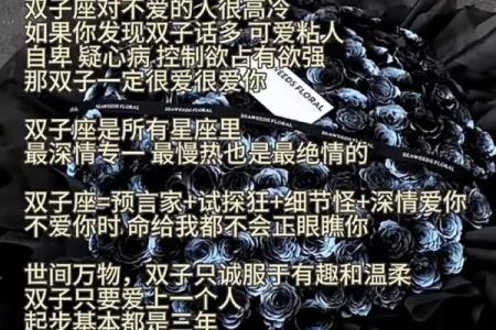 能让双子座一生痴迷的星座 双子座对哪些星座有好感