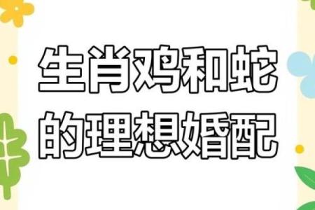 属鸡人属相姻缘配对