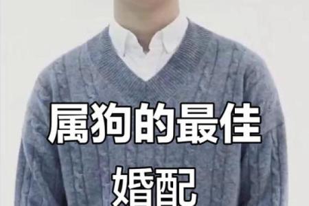 狗跟什么生肖配对最好 生肖狗最佳配对