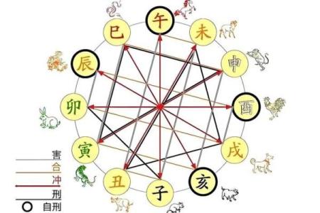 属鸡和什么属相最配对 属鸡和什么属相相冲