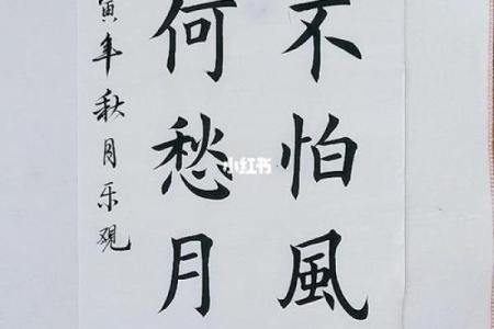 车公灵签第四十六签：根深不惧风摇动
