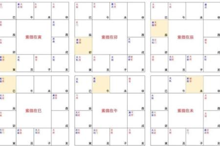 紫微斗数诸星落诸宫之：子女宫
