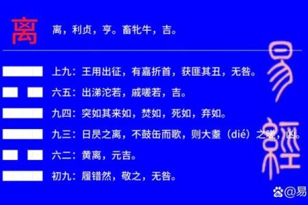 紫微斗数之八卦万物类象：离卦详解