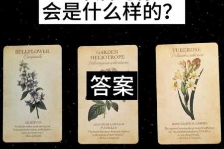 塔罗测试：未来三个月你会遇到什么奇遇？