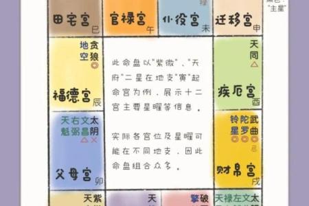 紫薇斗数可以看什么