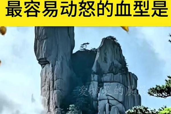 太容易相信别人的血型
