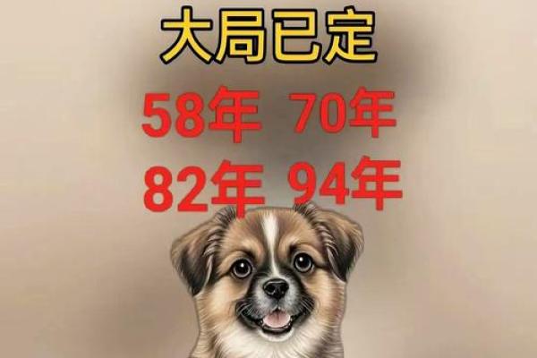 算命的说狗和猪好不好