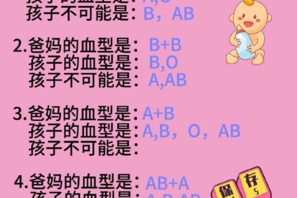 各血型能生出什么血型BB
