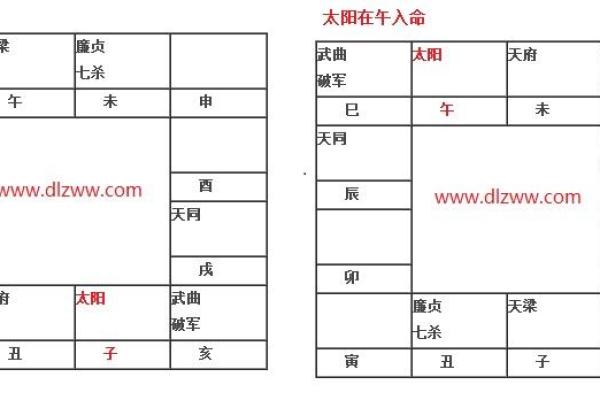 新白娘子紫薇斗数