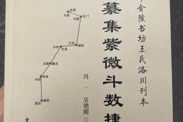 新白娘子紫薇斗数