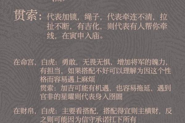 惯索紫薇斗数