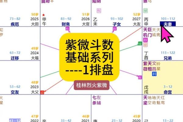 惯索紫薇斗数