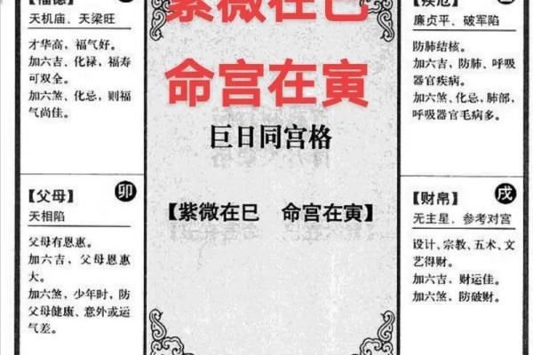 八字未月命宫是什么意思