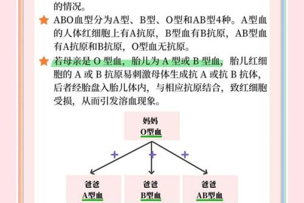 2012各血型的有效学习方法