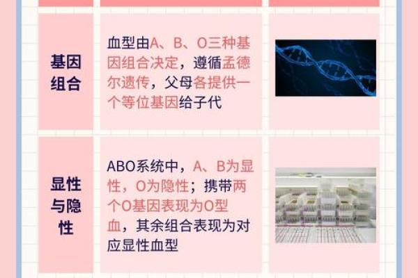 2012各血型的有效学习方法