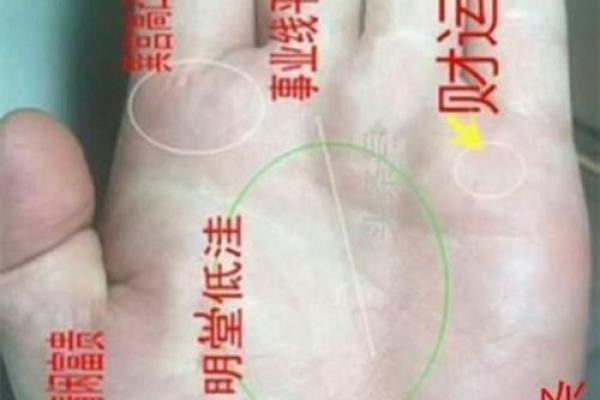 有横财偏财的手相女命八字