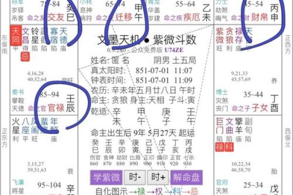 怎样解紫薇斗数