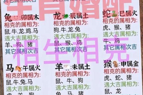 96年鼠男和98年虎女结婚好吗 性格配对如何