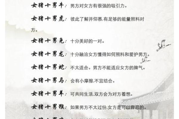 婚姻配对属龙和属猪姻缘怎么样