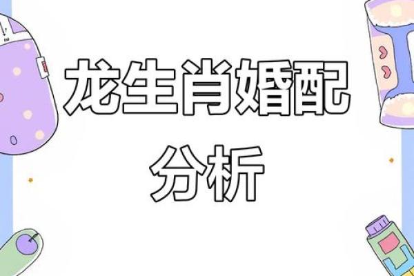 婚姻配对属龙和属猪姻缘怎么样