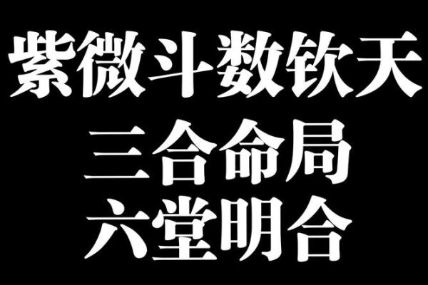 紫微斗数三合 紫微斗数三合派？