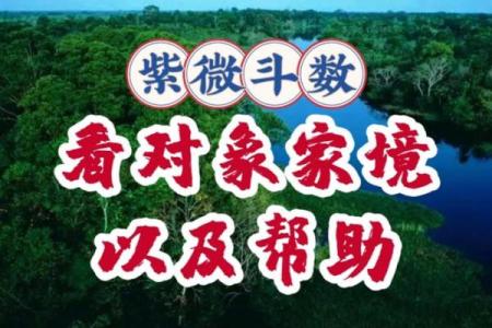 大猫紫薇斗数博客