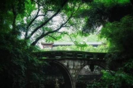 紫薇斗数水墨