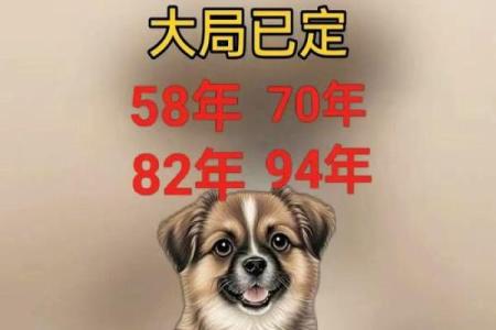 算命的说狗和猪好不好