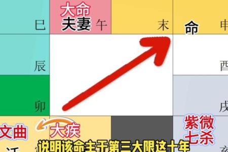 东有小山紫薇斗数7