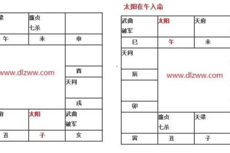 新白娘子紫薇斗数