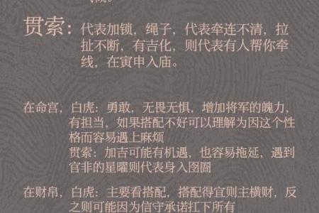 惯索紫薇斗数