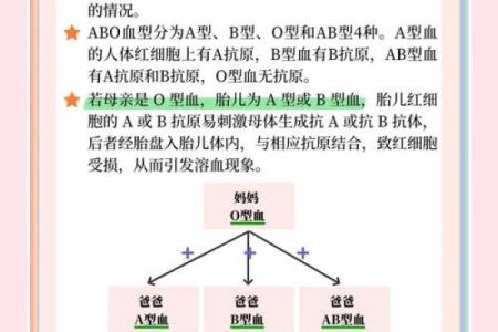 2012各血型的有效学习方法