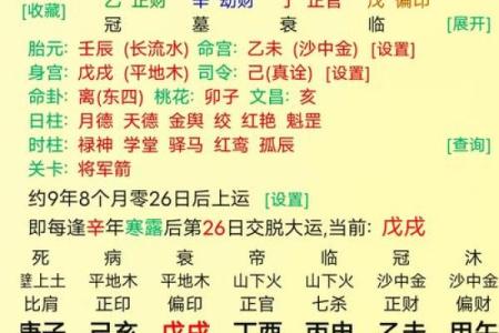 八字命理看小杨哥的命运
