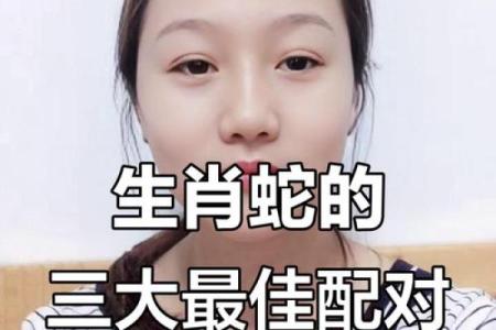 生肖鸡和生肖蛇能够配对吗