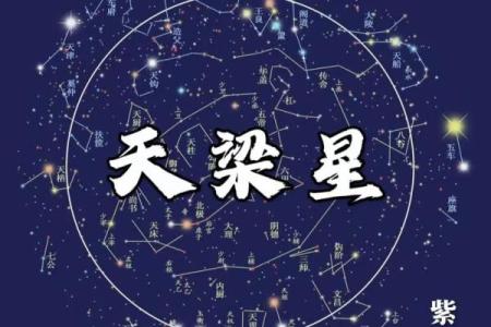 紫薇斗数术数