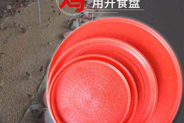 家中能养鸡鸭吗吉凶测试