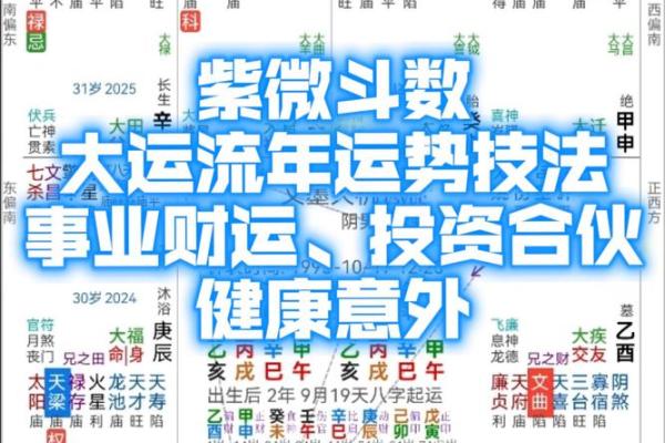 紫薇斗数限运