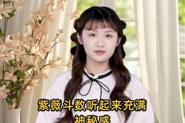 会紫薇斗数的人