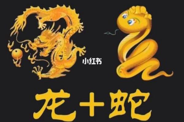 男龙女蛇八字合吗,蛇和龙在一起对谁不利