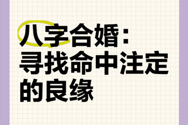 免费的八字合婚